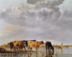 Vacas en un río, c.1650